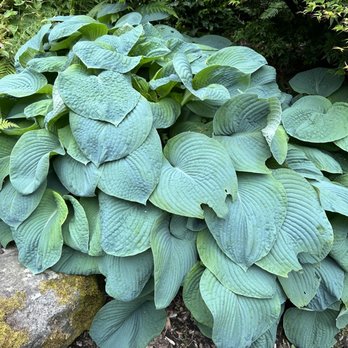 Kubota Garden - Botanical Gardens Near Me - Seattle, Washington