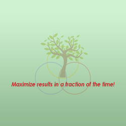 Executive and Team Coaching, Training and Facilitation