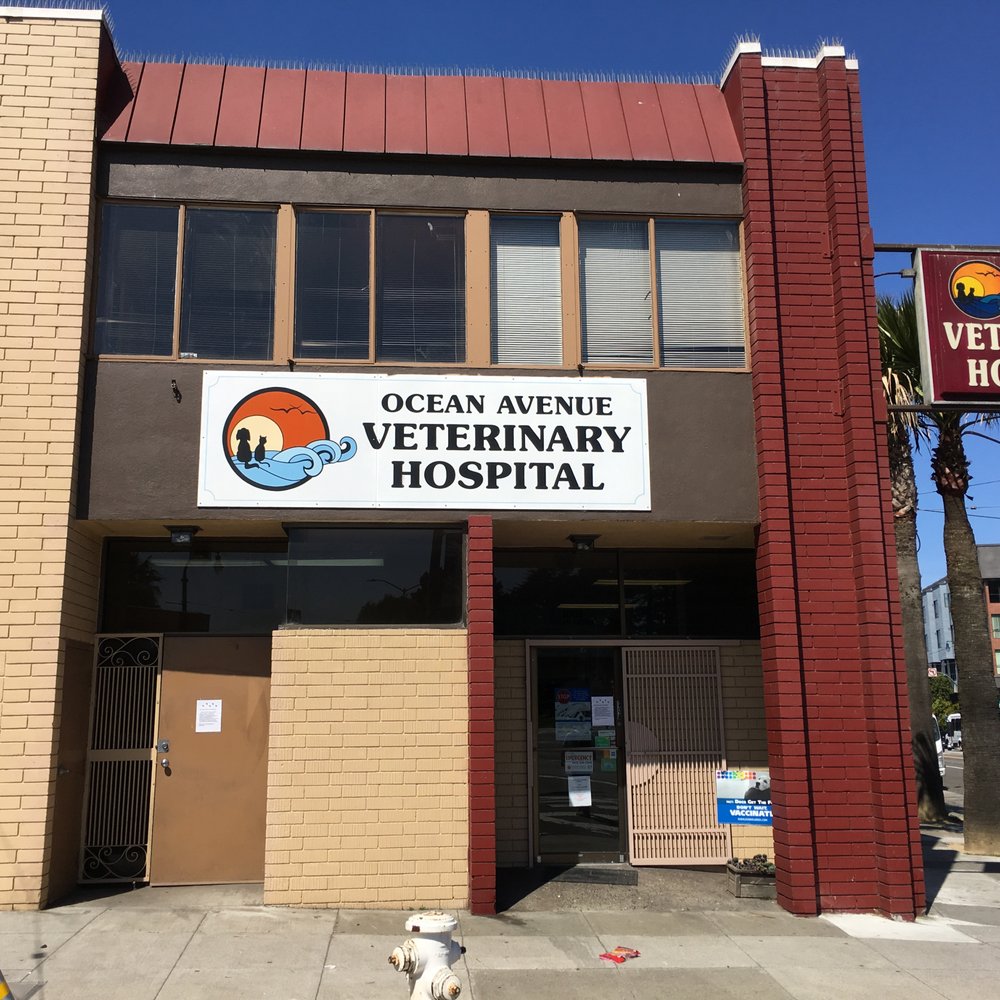 TOP 10 BEST 24 Hour Emergency Vet in Sunnyvale, CA - Updated 2026 - Yelp