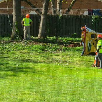 Pac-Tree - Looking over ... - Tree Services Near Me