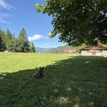 Merwin Park - Shady trees all over - Parks Near Me - Ariel, Washington