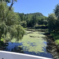 Nestlenook Farm Victorian Recreation Park - Another scenic view for the trail ride experience