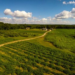 Wojcik's Farm - A view from our orchard