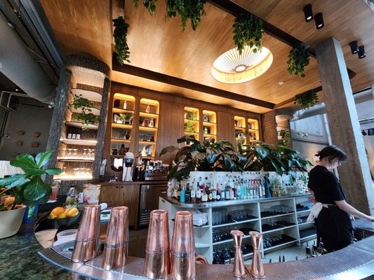 Fortuna's Row by null