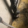 Rapid Rooter Service