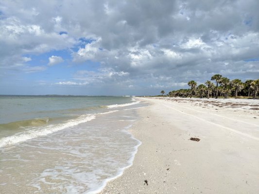 Caladesi Island State Park by null