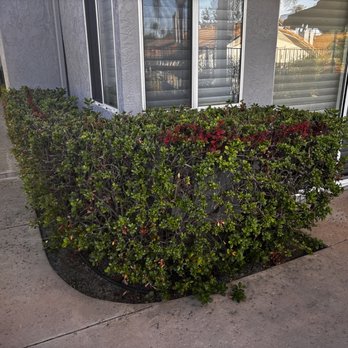 Xpert Landscape - BEFORE Backyard - Landscaping Near Me Xpert Landscape - BEFORE Backyard - Landscaping Near Me