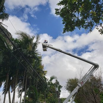 Majestic Tree Services - Tree Services Near Me Majestic Tree Services - Tree Services Near Me