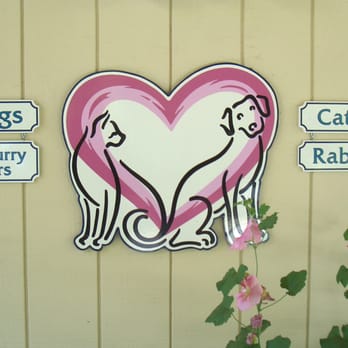 Aptos-Creekside Pet Hospital - The Aptos-Creekside entry way - separate sides for Dogs & Cats. :-) - Veterinarians Near Me - Aptos, California Aptos-Creekside Pet Hospital - The Aptos-Creekside entry way - separate sides for Dogs & Cats. :-) - Veterinarians Near Me - Aptos, California