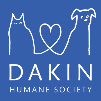 Dakin Humane Society - Animal Shelters Near Me - Springfield, Massachusetts