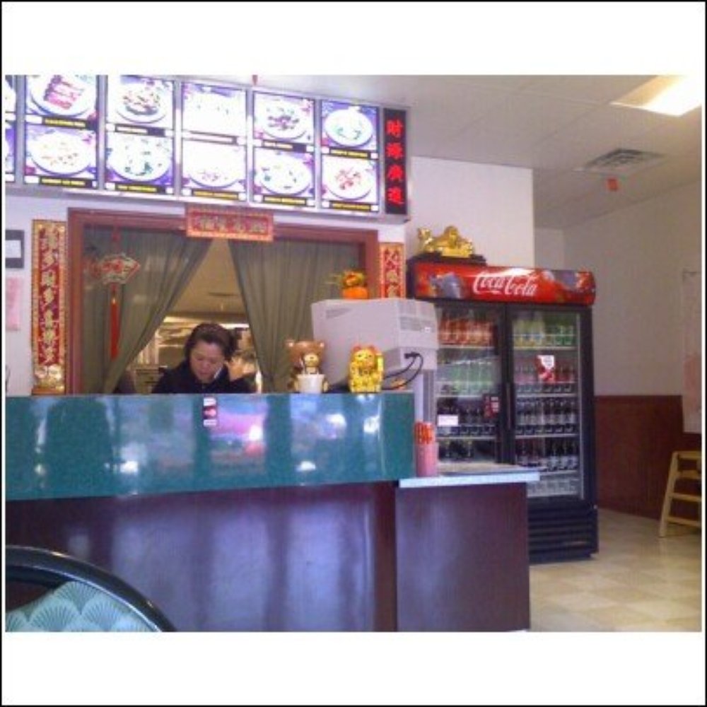 Zhu Garden - Interior - Thai Near Me - Knoxville, Tennessee