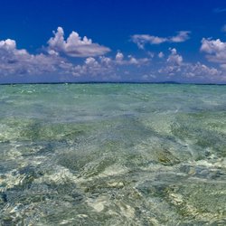 Serenity Sea Tours - Crystal clear!!