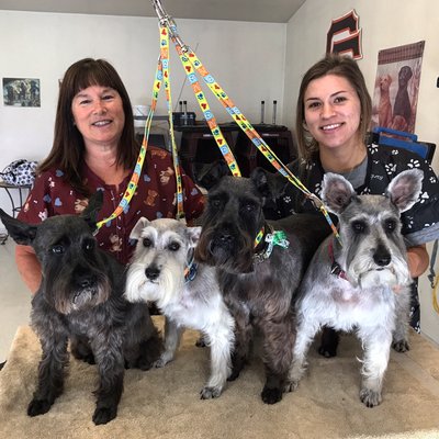 Deb's Bark Avenue Grooming