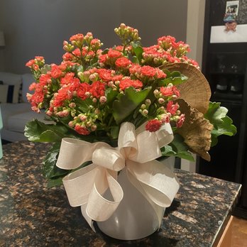 Texas Blooms And Gifts - Mother's Day gift - Florists Near Me - Austin, Texas Texas Blooms And Gifts - Mother's Day gift - Florists Near Me - Austin, Texas