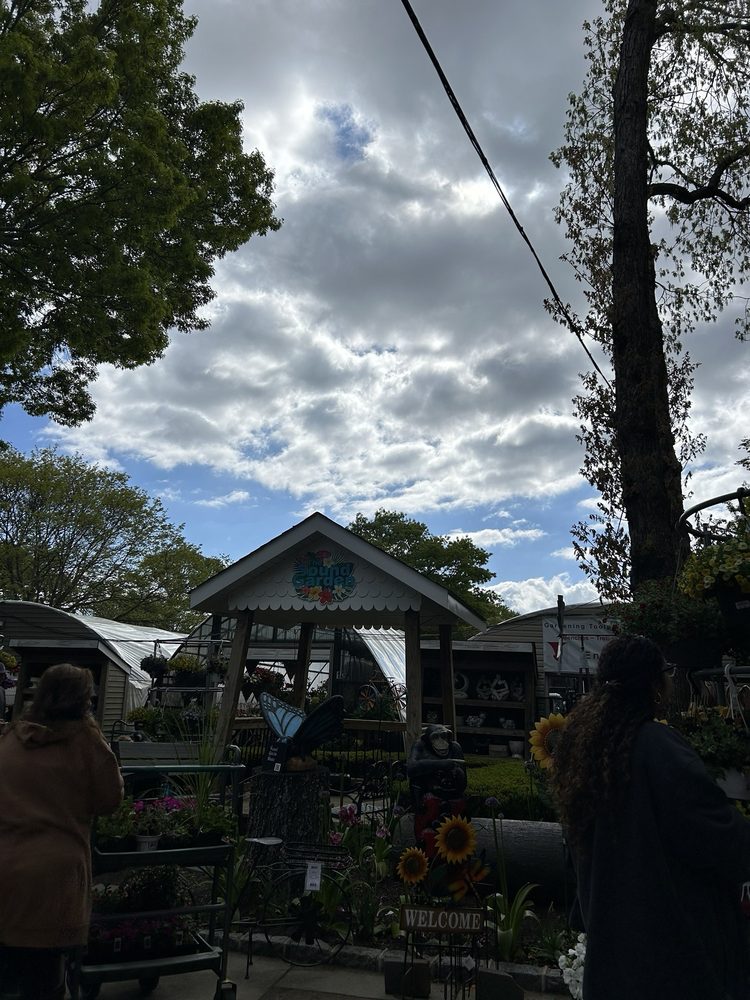 THE BLOOMIN HAUS Updated August 2024 44 Photos & 19 Reviews 816