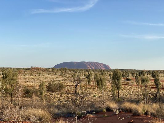Field of Light by null