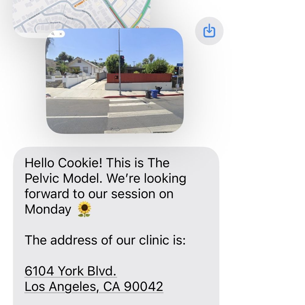 The Pelvic Model - Physical Therapy Near Me - Los Angeles, California The Pelvic Model - Physical Therapy Near Me - Los Angeles, California
