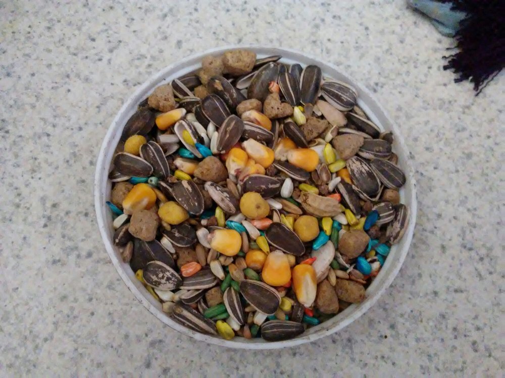 MANNING’S FEED AND SEED Updated August 2024 5493 Alabama St, Milton