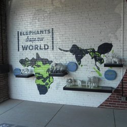 The Elephant Sanctuary