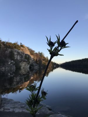 Minnewaska State Park Preserve by null