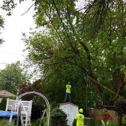 Woods Tree & Lawn Service