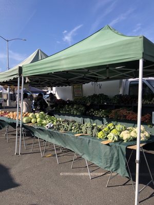 Napa Farmers Market by null