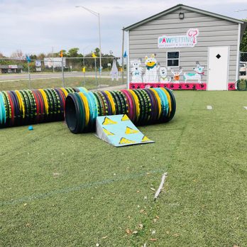 Paw Petting - Our awesome & safe outside play area! - Pet Boarding Near Me - Dundee, Florida