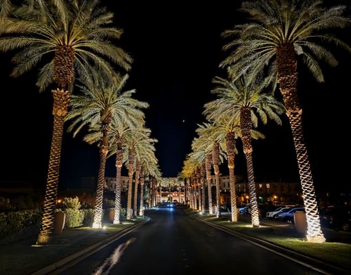 The Westin Lake Las Vegas Resort & Spa by null