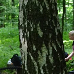 Ruhrpowercamp