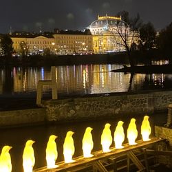 Kampa - Penguins