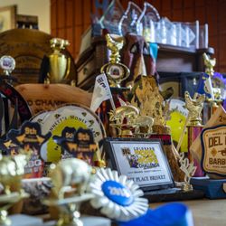 Some of the 200+ trophies.