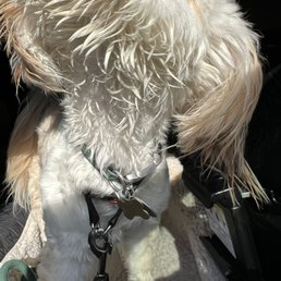 His face and front was wet from spray. His face and front was wet from spray.