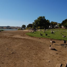 Overview of the park showing the local avian residents and picnic area. Overview of the park showing the local avian residents and picnic area.