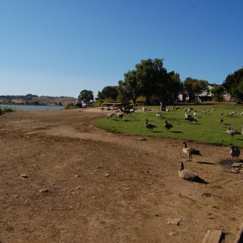 Matthew Turner Shipyard Park - Overview of the park showing the local avian residents and picnic area. - Parks Near Me - Benicia, California Matthew Turner Shipyard Park - Overview of the park showing the local avian residents and picnic area. - Parks Near Me - Benicia, California