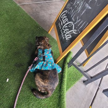 The Funky Frenchie - Breakfast & Brunch Near Me - Lemon Grove, California The Funky Frenchie - Breakfast & Brunch Near Me - Lemon Grove, California