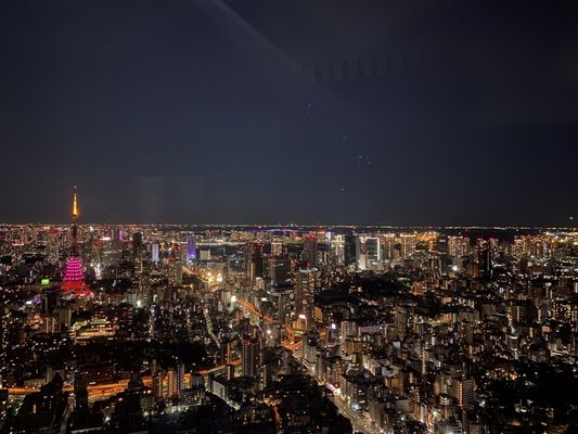 Roppongi Hills Mori Tower by null