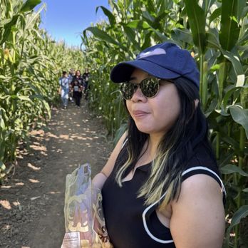 G&M Farms - Attraction Farms Near Me - Livermore, California G&M Farms - Attraction Farms Near Me - Livermore, California