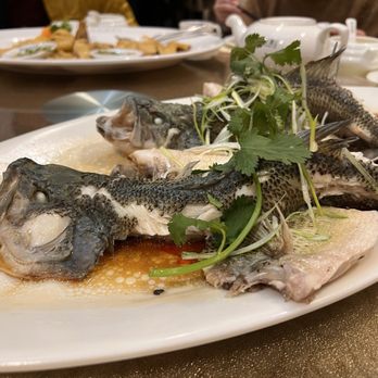 New Century Restaurant - Dim Sum Near Me - Markham, Ontario
