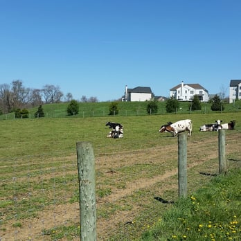 Baily’s Dairy - Baileys dairy cows - Specialty Food Near Me - West Chester, Pennsylvania Baily’s Dairy - Baileys dairy cows - Specialty Food Near Me - West Chester, Pennsylvania