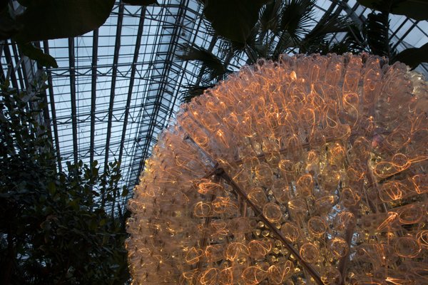 Nicholas Conservatory & Gardens by null