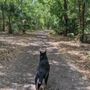Photo of Helen Howarth Park & Equestrian Trail