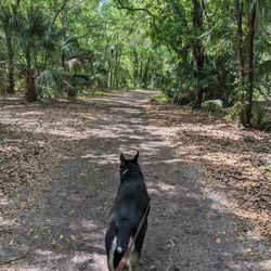 Helen Howarth Park & Equestrian Trail