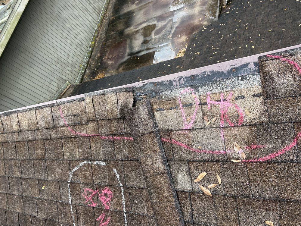 Slide of Total Care Services