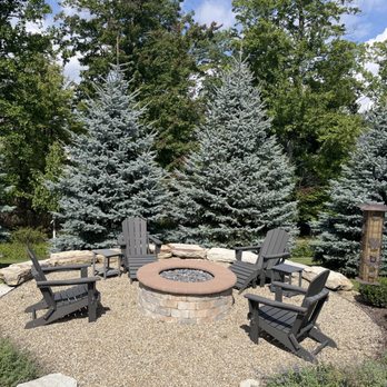 Ohio State Landscaping - Back yard pine trees - Landscaping Near Me - Richfield, Ohio Ohio State Landscaping - Back yard pine trees - Landscaping Near Me - Richfield, Ohio