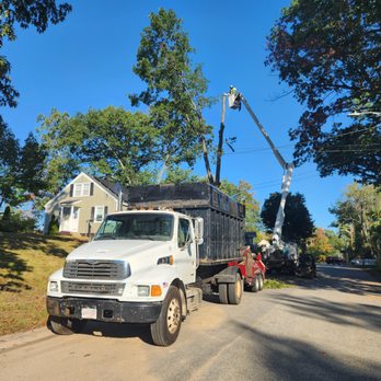 Elevation Tree Service - Elevation tree service of Winchendon, Ashby, Gardner, Leominster, Westminster - Tree Services Near Me - Winchendon, Massachusetts