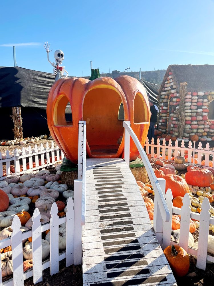 MRBONES Updated October 2024 516 Photos & 381 Reviews 10100