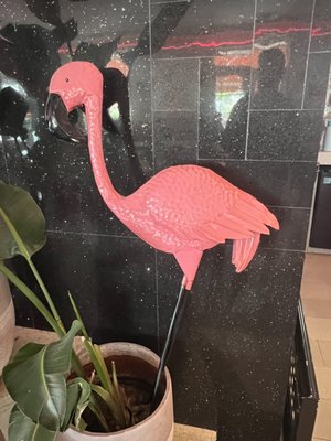 Cardozo South Beach by null