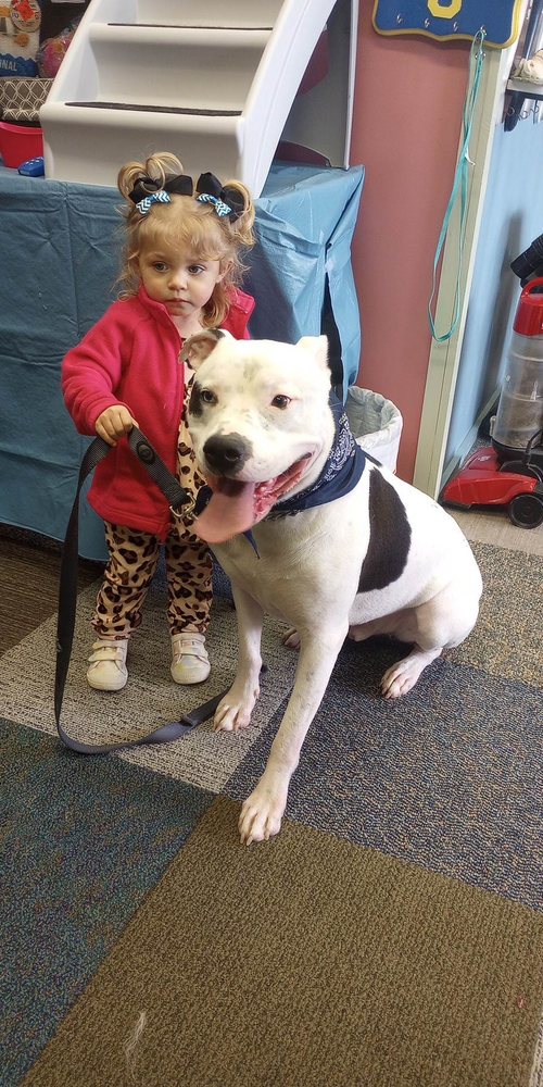 JESSICAS PURDY PAWS 2 Updated August 2024 79 Photos 3421