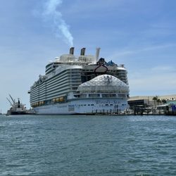 Dolphin Ears Tours