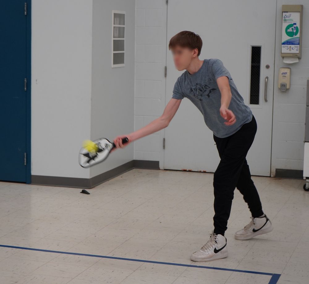 Live Free And Pickleball Logo